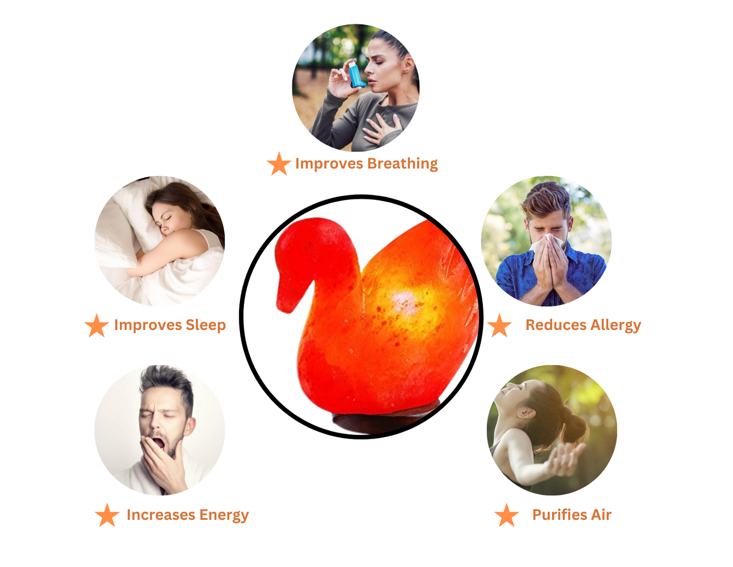 SOLD OUT!!  Serenity Swan Himalayan Salt Lamp