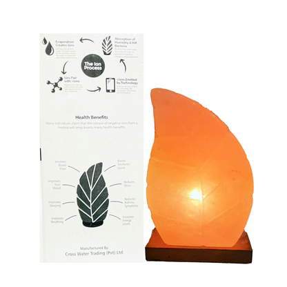 Coral Leaf Salt Lamp