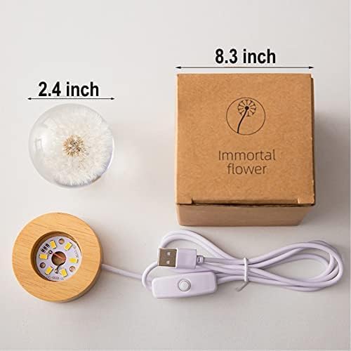 Red Daisy Crystal Flower Lamp – MARZIUS Glass Ball Night Light with Wooden Base