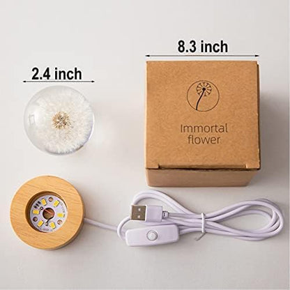 Red Daisy Crystal Flower Lamp – MARZIUS Glass Ball Night Light with Wooden Base