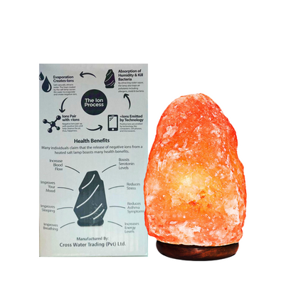 Zen Stone Natural Salt Lamp