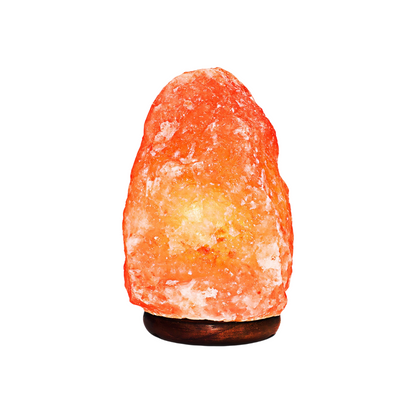 Zen Stone Natural Salt Lamp