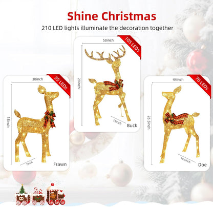 GoldenGlow Reindeer Family – 3-Piece Lighted Outdoor Christmas Decoration