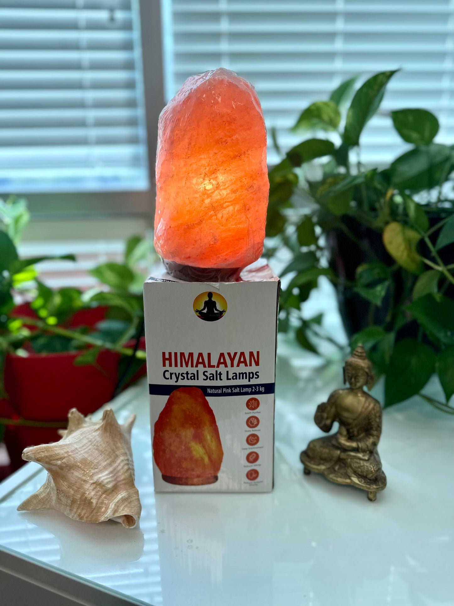 Zen Stone Natural Salt Lamp