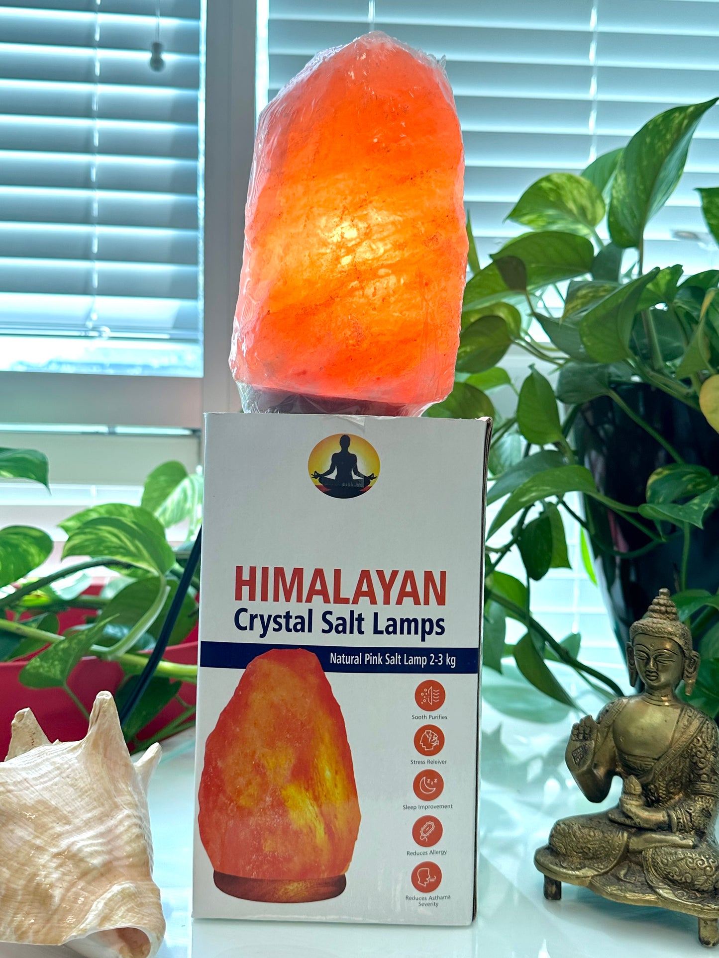 Zen Stone Natural Salt Lamp