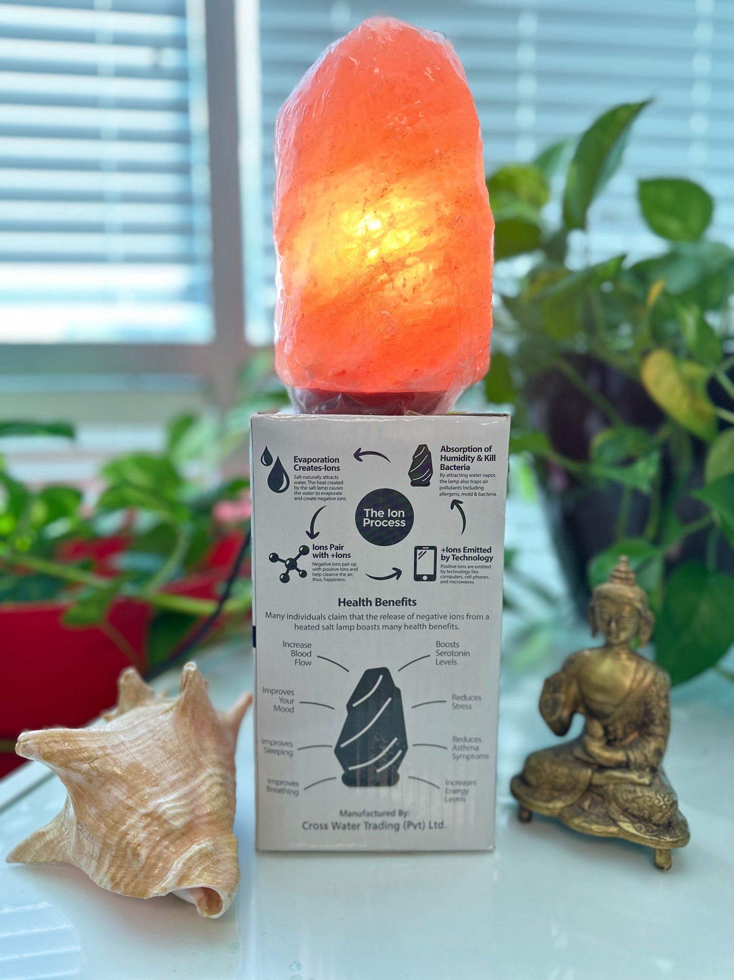 Zen Stone Natural Salt Lamp