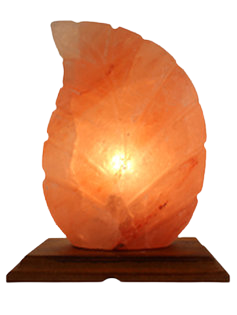 Coral Leaf Salt Lamp