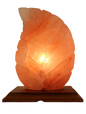 Coral Leaf Salt Lamp