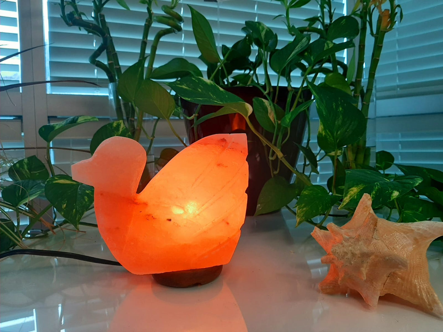 Serenity Swan Himalayan Salt Lamp